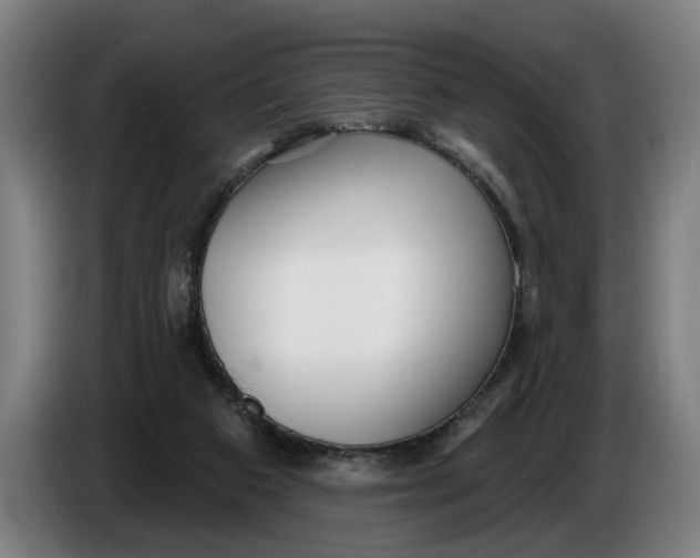 X0000086250113200704191851
