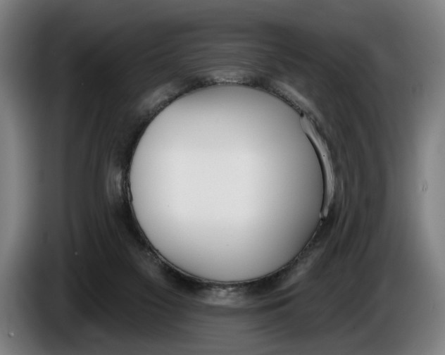 X0000086250117200704191851