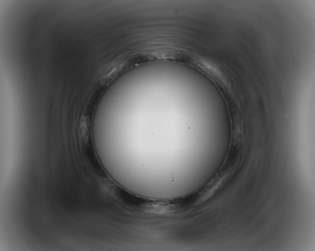 X0000086250121200704191851