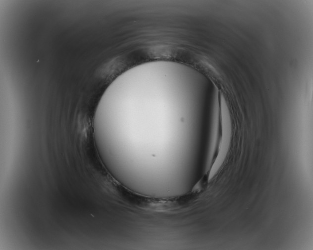 X0000086250125200704191850