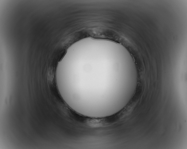 X0000086250129200704191850