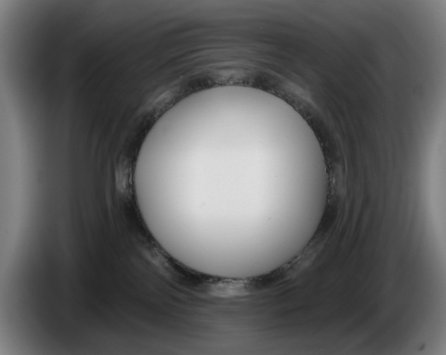 X0000086250138200704191850
