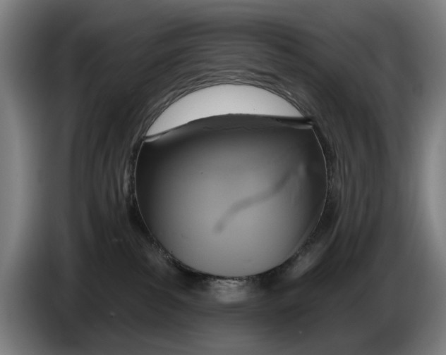 X0000086250139200704191850