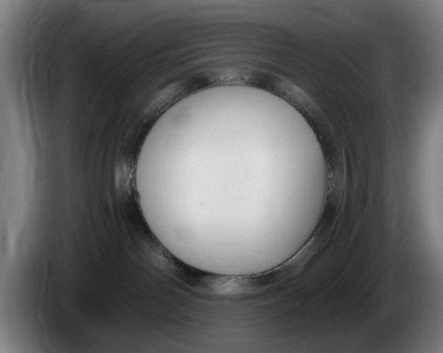X0000086250142200704191850