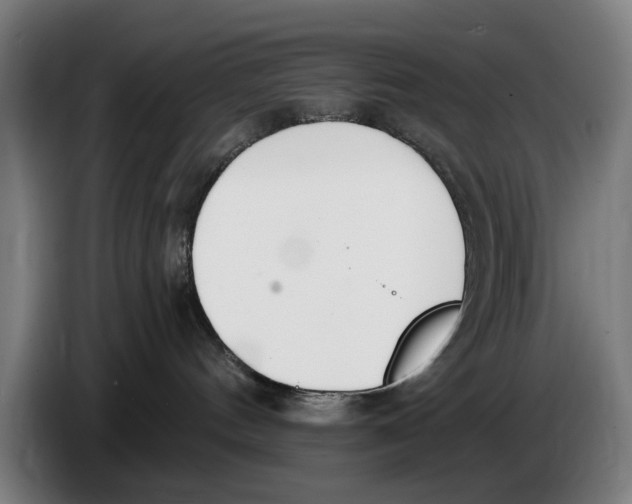 X0000086250144200704191850