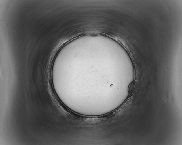 X0000086250145200704191850