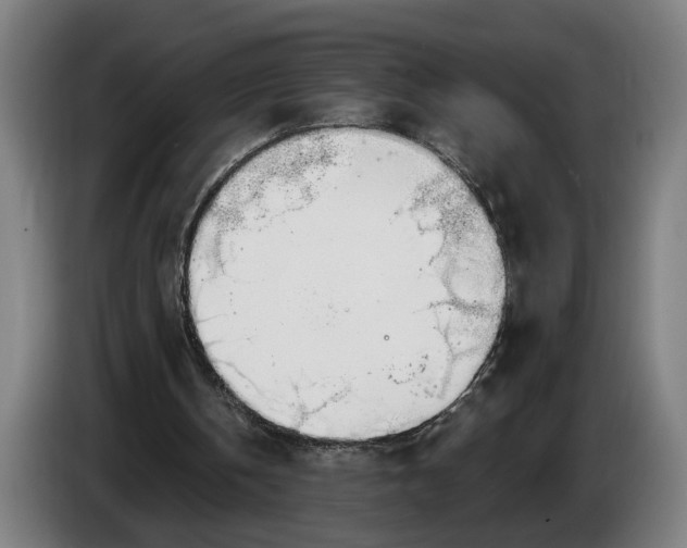 X0000086250146200704191850