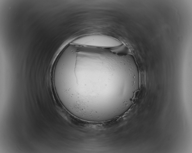 X0000086250147200704191850