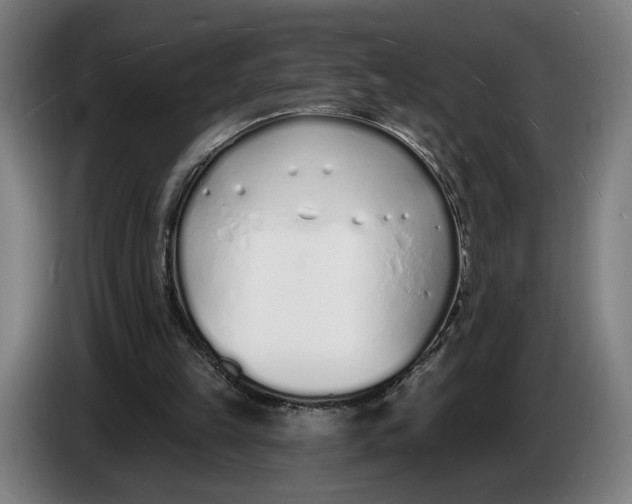 X0000086250149200704191850
