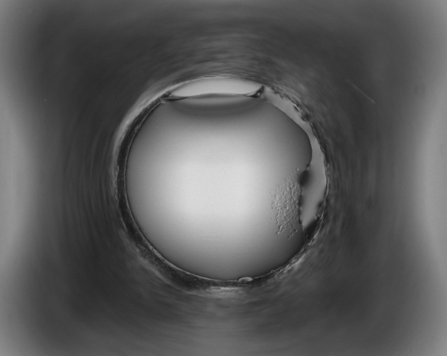 X0000086250150200704191850