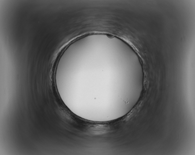 X0000086250151200704191850