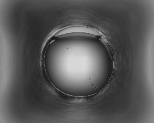 X0000086250152200704191850