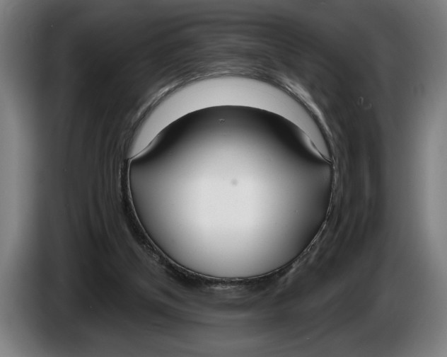 X0000086250154200704191850