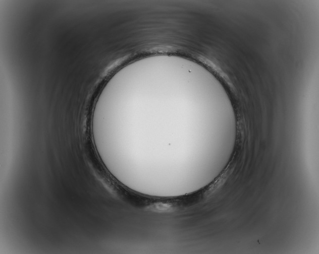 X0000086250159200704191850