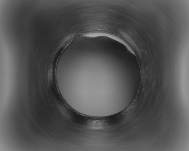 X0000086250163200704191850
