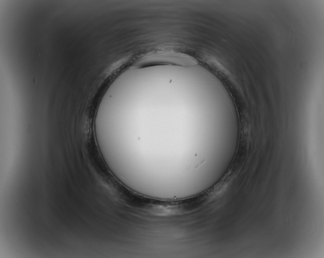 X0000086250164200704191850