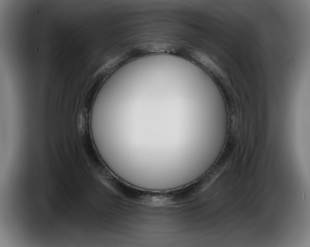X0000086250165200704191850