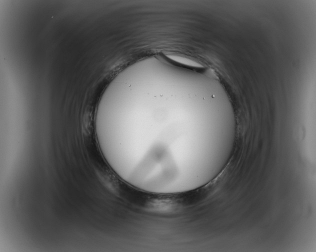 X0000086250171200704191850