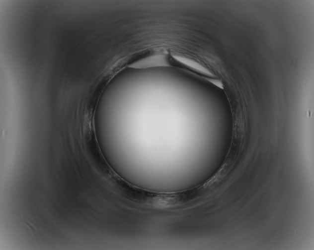 X0000086250172200704191850