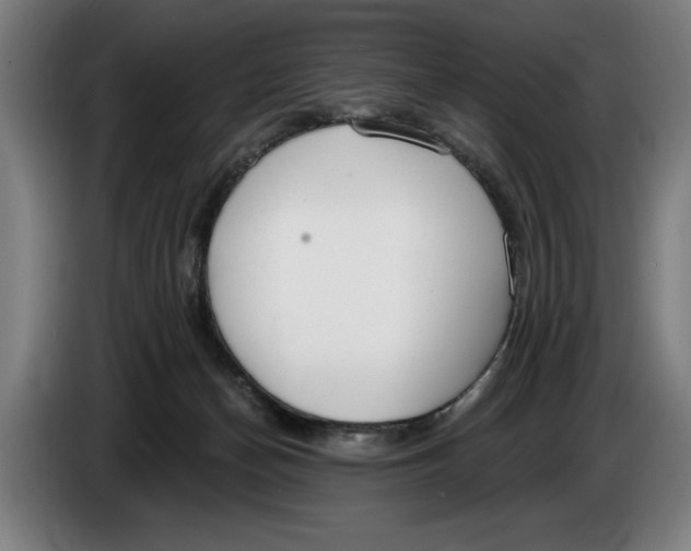 X0000086250174200704191850