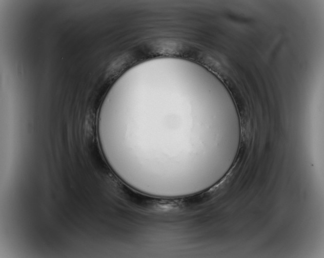 X0000086250175200704191850