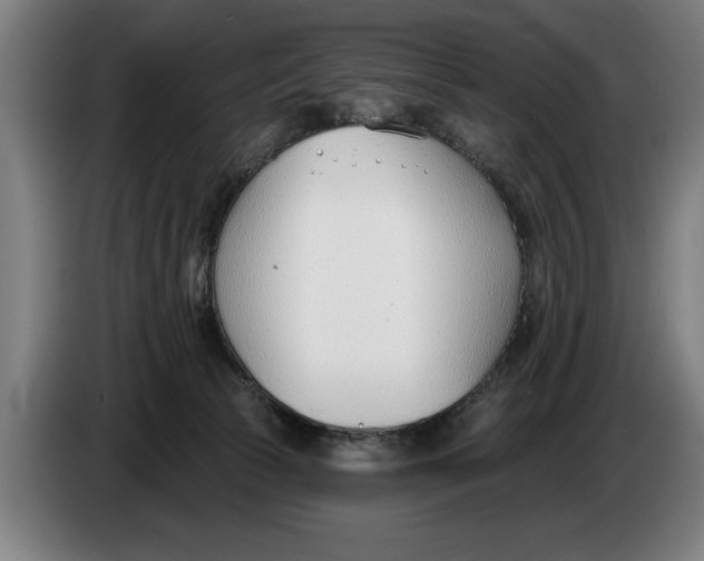 X0000086250177200704191850