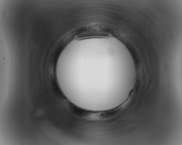 X0000086250178200704191850
