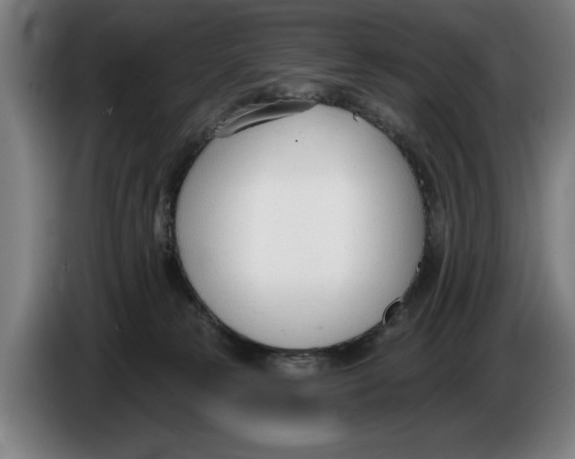 X0000086250181200704191850