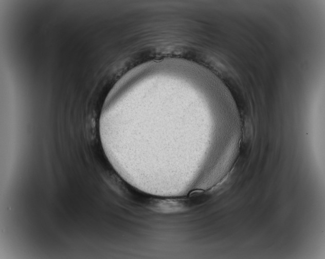 X0000086250183200704191850