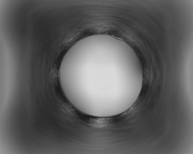 X0000086250184200704191850