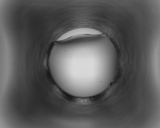 X0000086250185200704191850