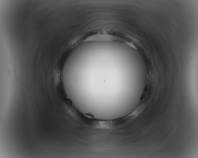 X0000086250188200704191850