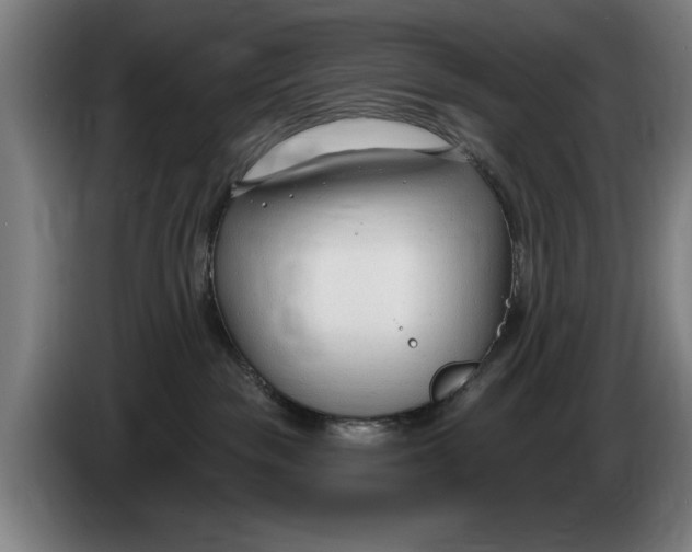 X0000086250189200704191850