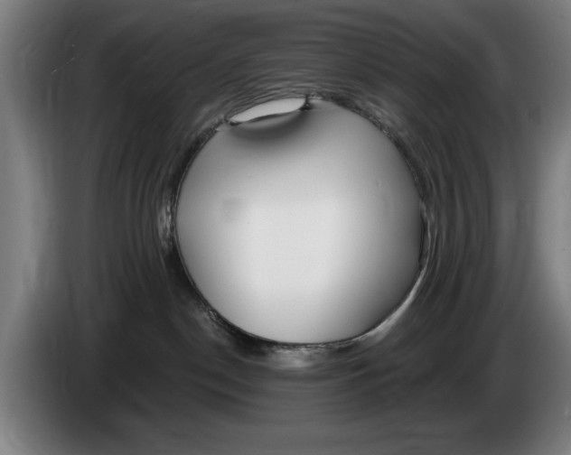 X0000086250190200704191850