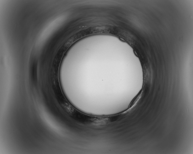 X0000086250191200704191850