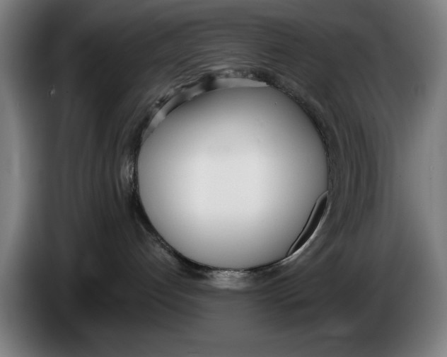 X0000086250192200704191850