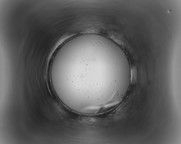 X0000086250195200704191850