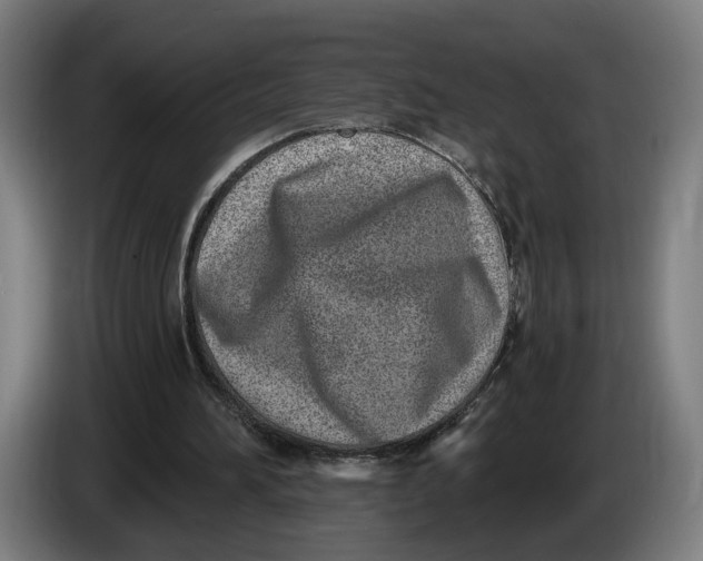 X0000086250196200704191850
