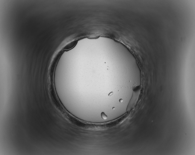 X0000086250198200704191849