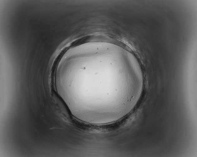 X0000086250199200704191849