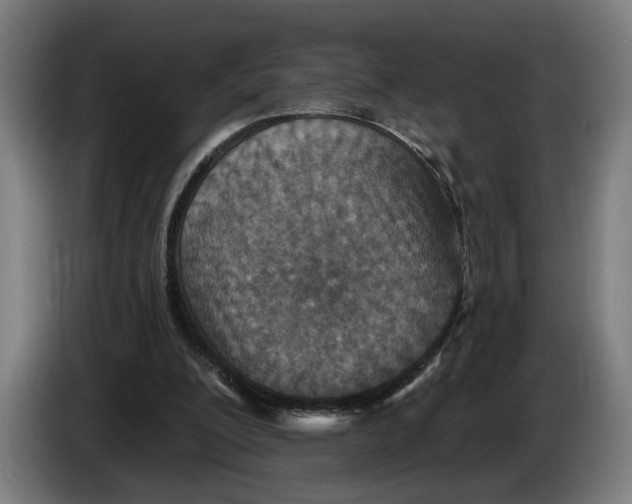 X0000086250200200704191849