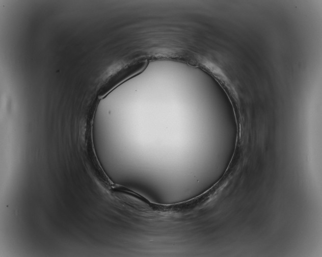 X0000086250201200704191849