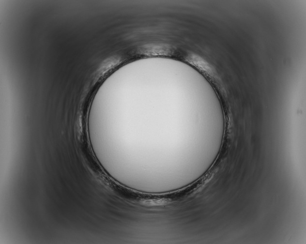 X0000086250202200704191849