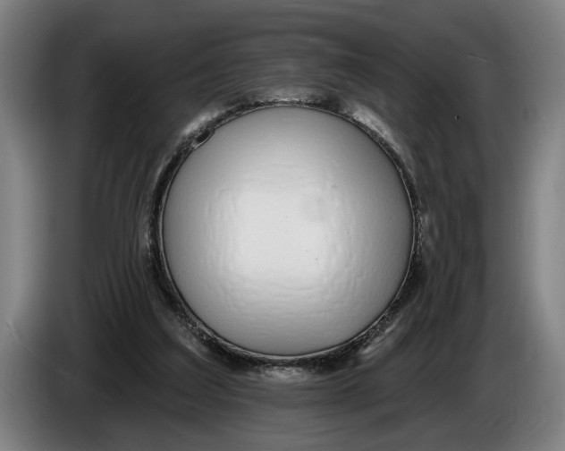 X0000086250203200704191849