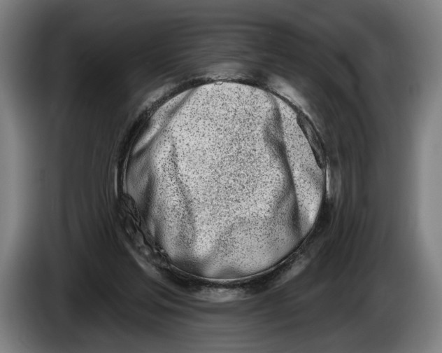 X0000086250205200704191849
