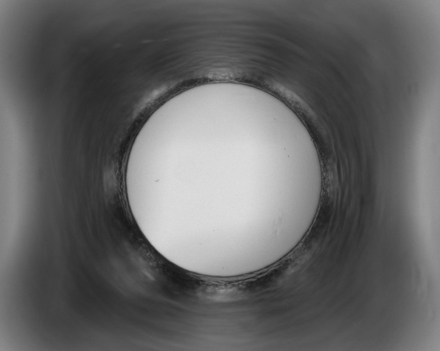 X0000086250208200704191849