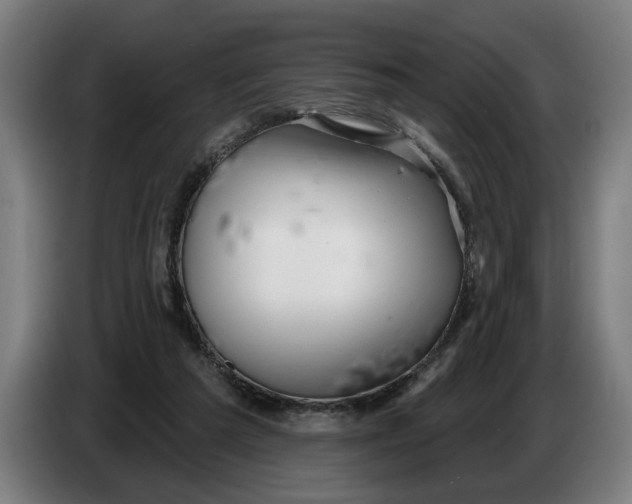 X0000086250209200704191849