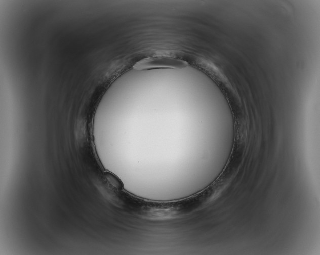 X0000086250213200704191849