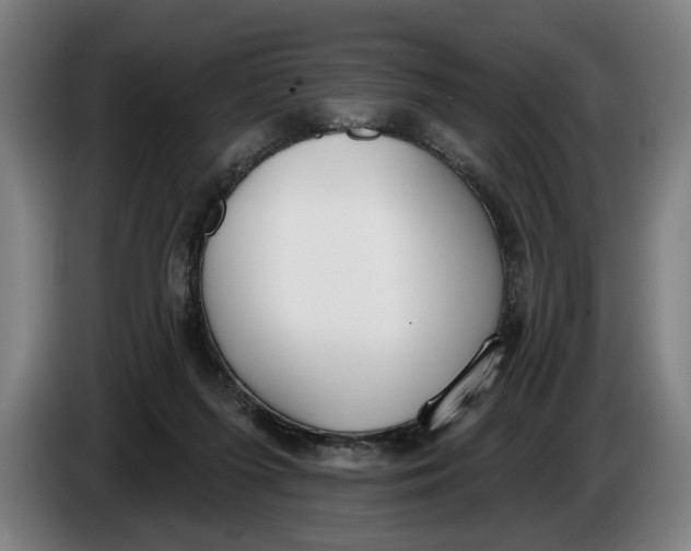 X0000086250215200704191849