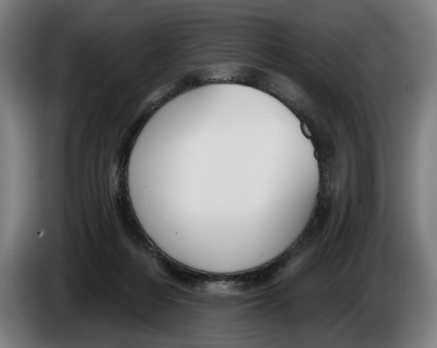 X0000086250216200704191849